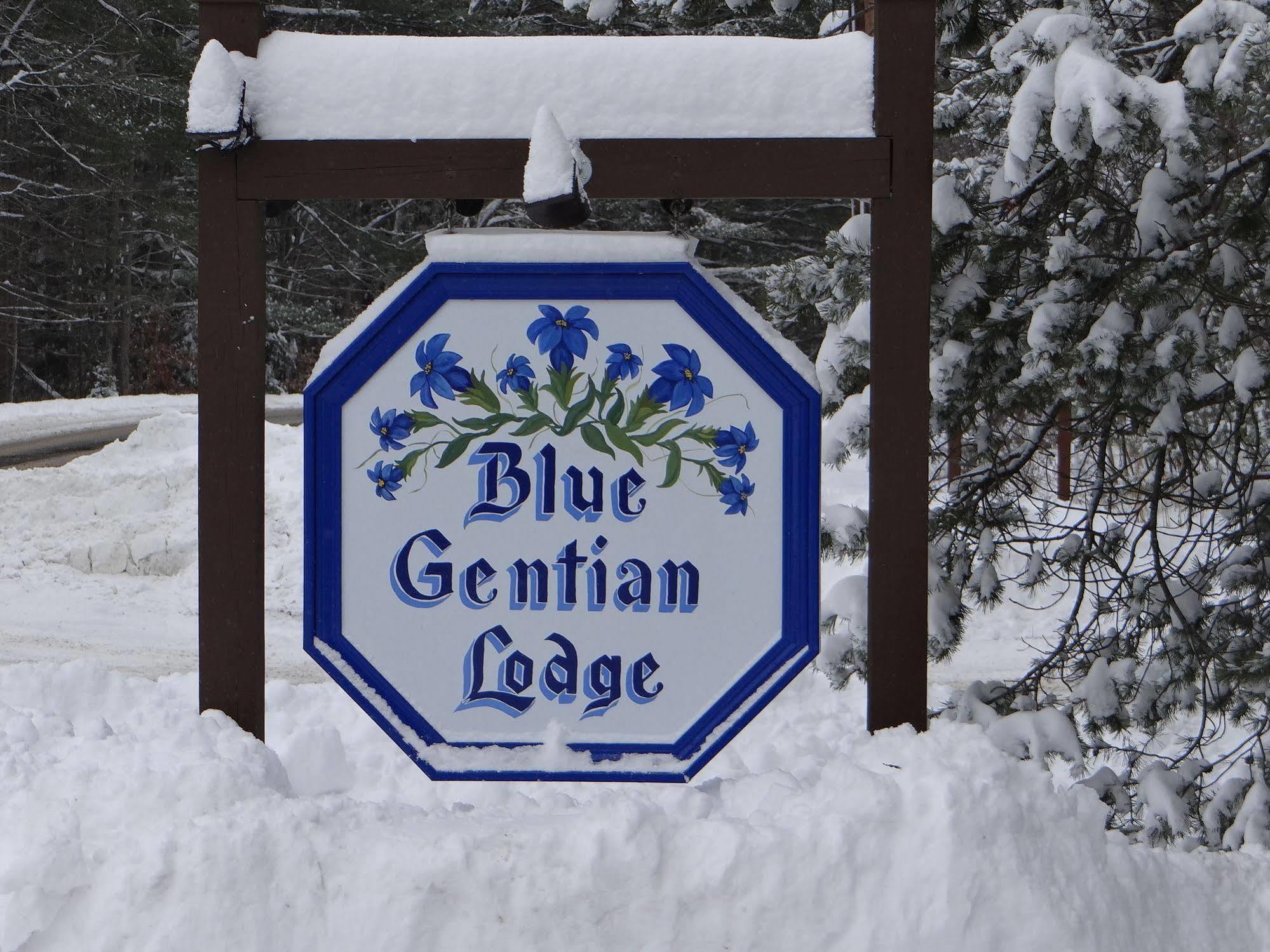 Blue Gentian Lodge At Magic Mountain Londonderry Zewnętrze zdjęcie